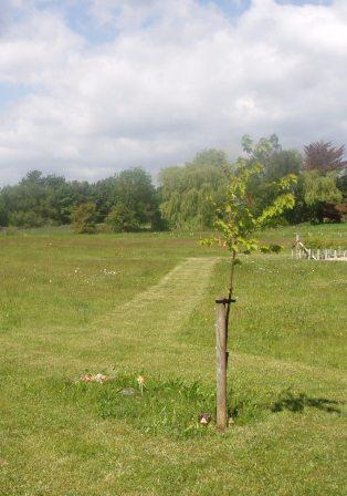 Brightwater, Lincolnshire